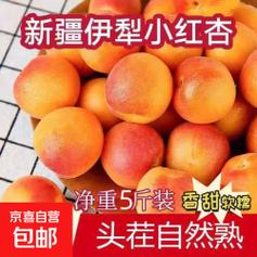 甜蜜直达，新鲜到家 新疆阿克苏小红杏的魅力之选