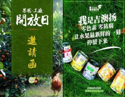 树美食的520:与最爱的事业谈一场恋爱